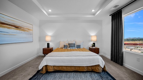 Primary bedroom with tray ceiling and large window.