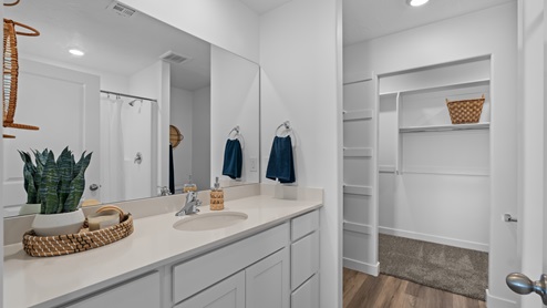 Primary bathroom featuring spacious vanity, walk-in closet, and shower.