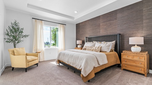 Primary bedroom with large window and tray ceiling.