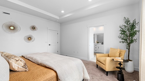 Primary bedroom with large window and tray ceiling.