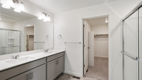 gray cabinet bathroom with a shower and dual sink