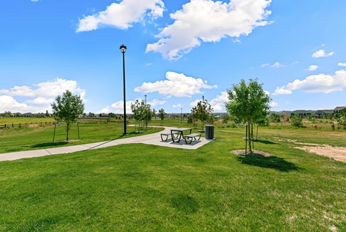 Picnic table beside walkway