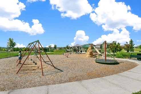 Community playground lined with trees and walkway with swings in the foreground