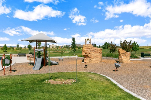 Community playground with slide, obstacles and climbable features