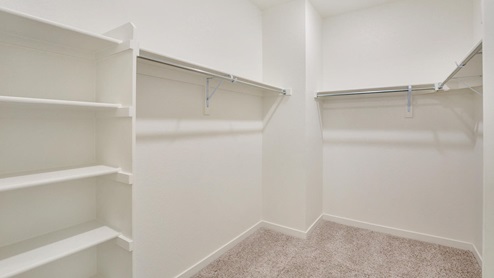 Chatham Primary Bedroom Walk in Closet  at Waterside at Todd Creek by D.R. Horton