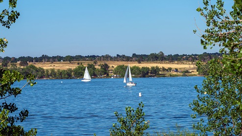 Sailboats on a blue lake with trees framing the photograph.