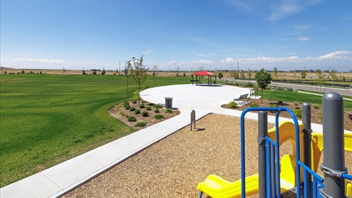 New Homes in Commerce City, Colorado at Settlers Crossing by D.R. Horton