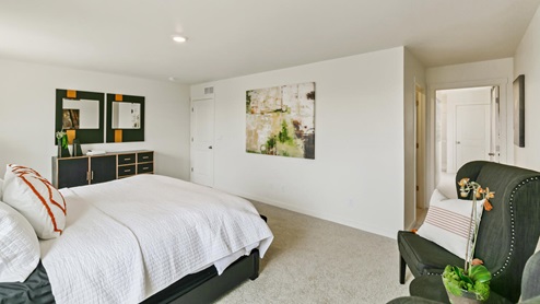 spacious bedroom with carpet floor