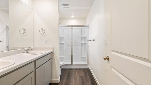 gray cabinet bathroom with a shower