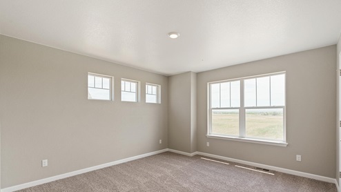 bedroom with windows and carpet floor