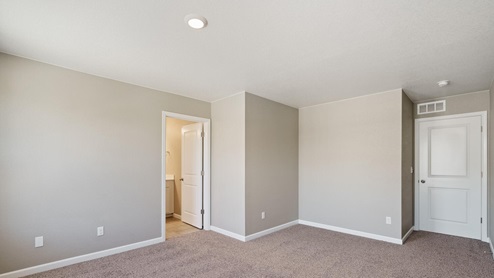bedroom with a closet and carpet floor