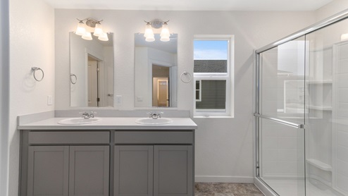 gray cabinet bathroom with a shower