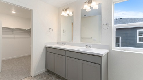 gray cabinet bathroom with a window and walk in closet