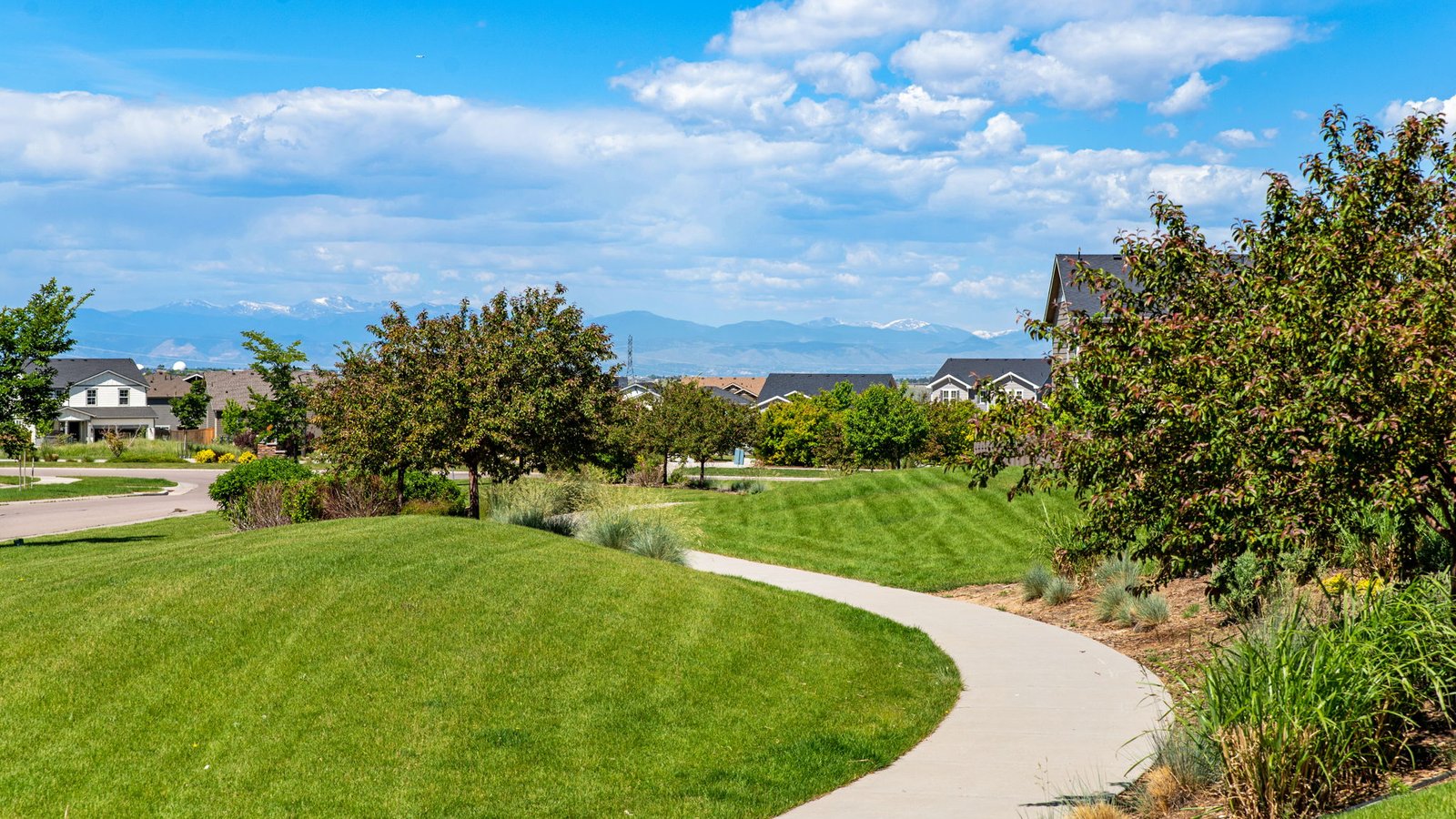 Pet-friendly walking path flanked by verdant green space at Sky Ranch in Watkins, CO
