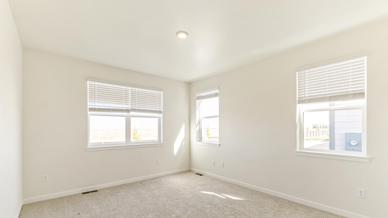 Primary bedroom with three windows for ample natural light and plush carpeting