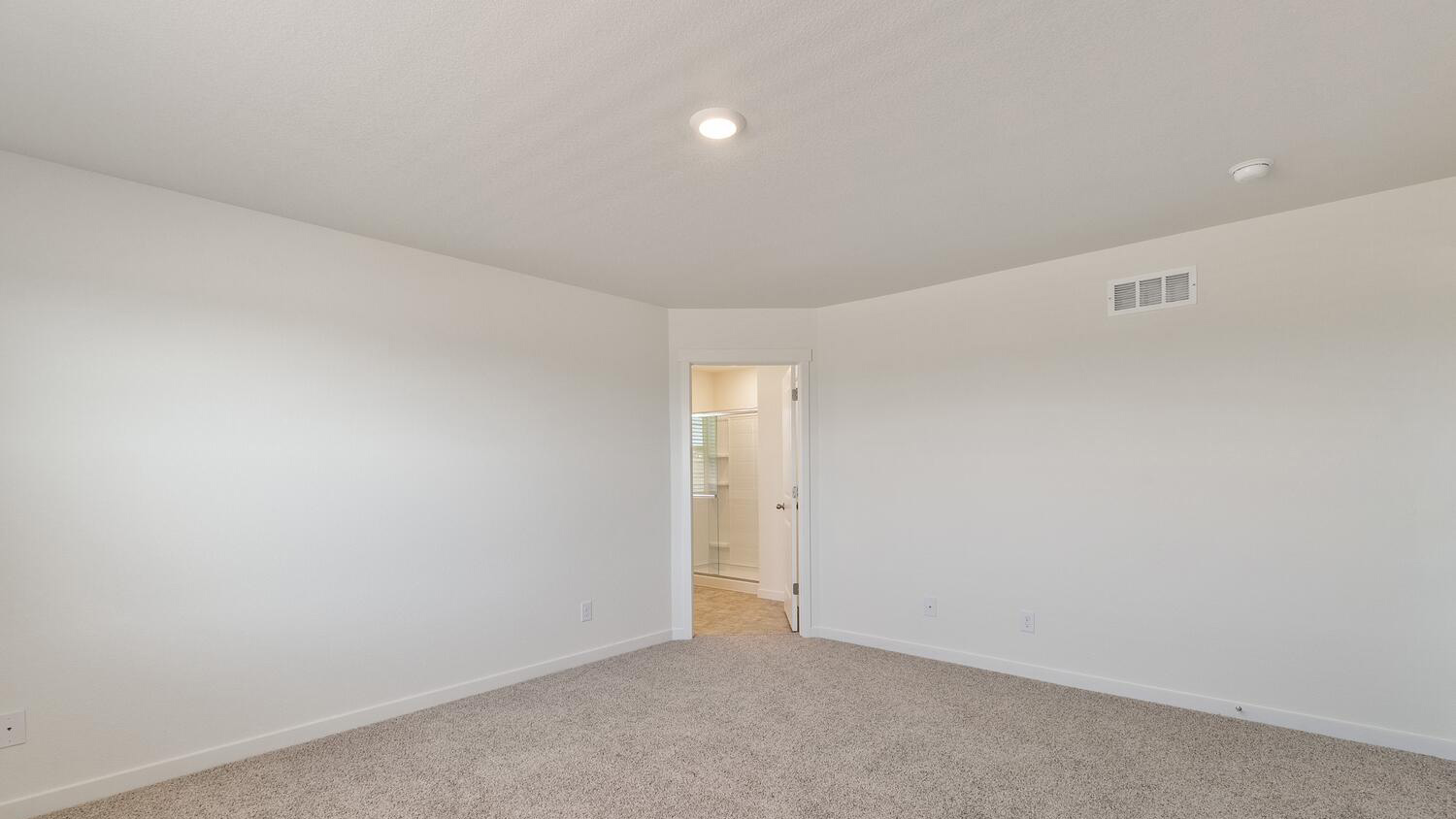 Open corner door to private bath in spacious primary bedroom suite showing step-in shower