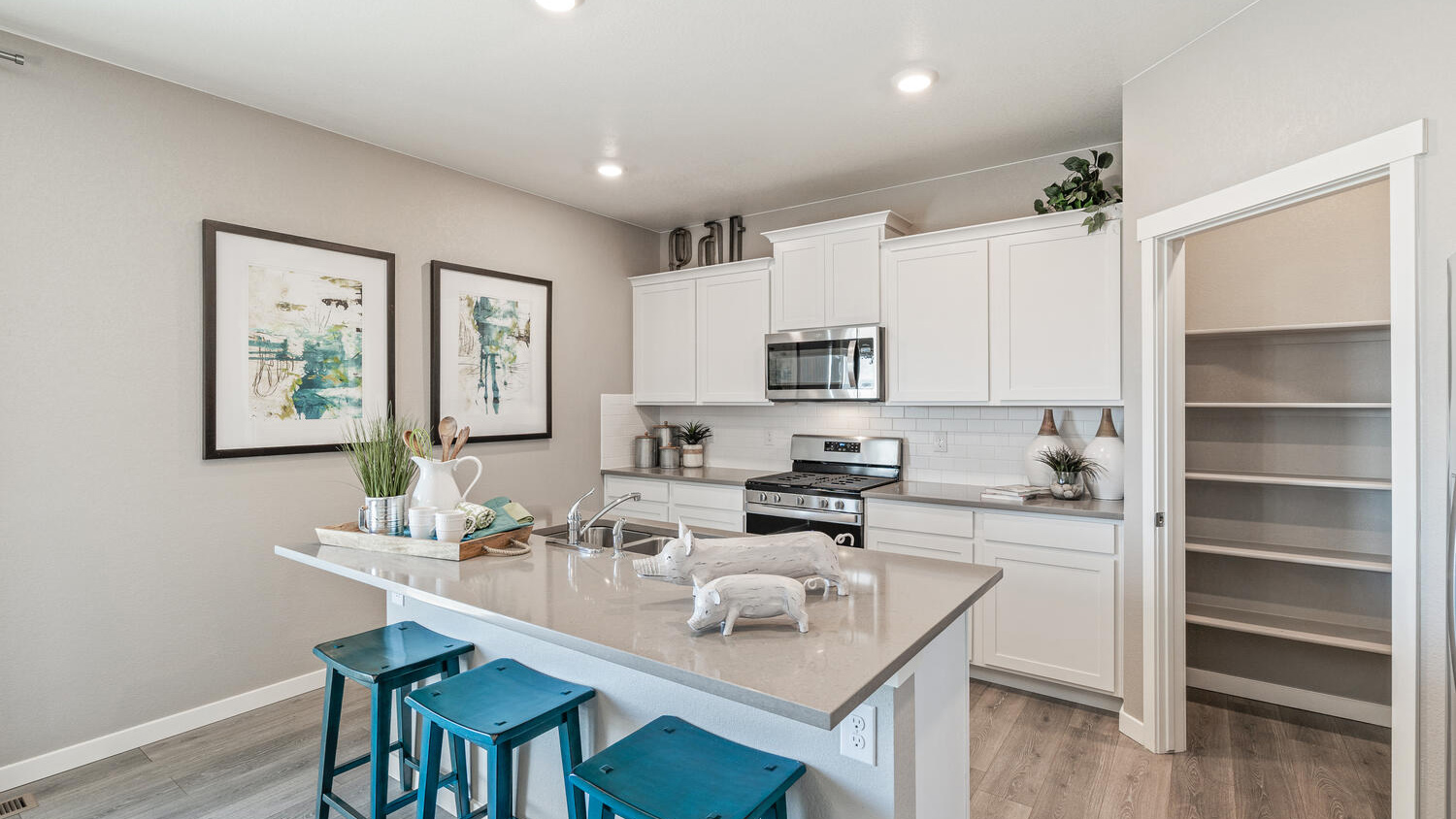 Spacious walk-in pantry in new home in Commerce City, Colorado