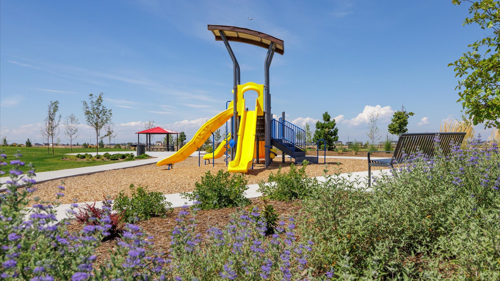 New Homes in Commerce City, Colorado at Settlers Crossing by D.R. Horton