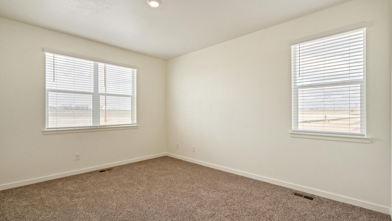 Primary bedroom featuring two windows providing ample natural light