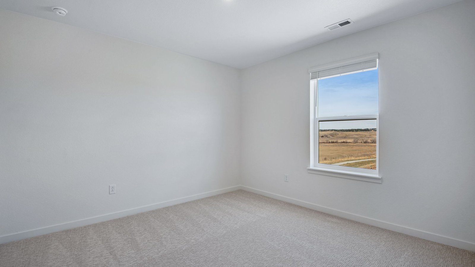 Secondary bedroom in new D.R. Horton home at Spring Valley Ranch new home community
