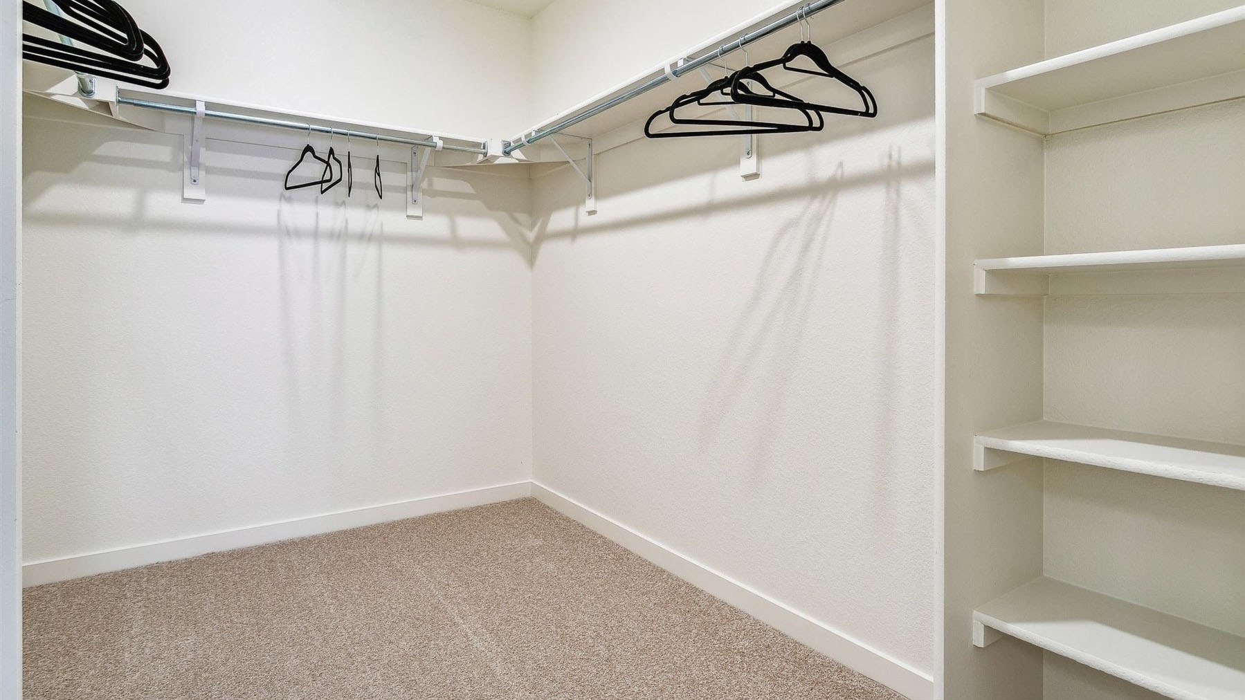Large walk-in closet with built-in shelving