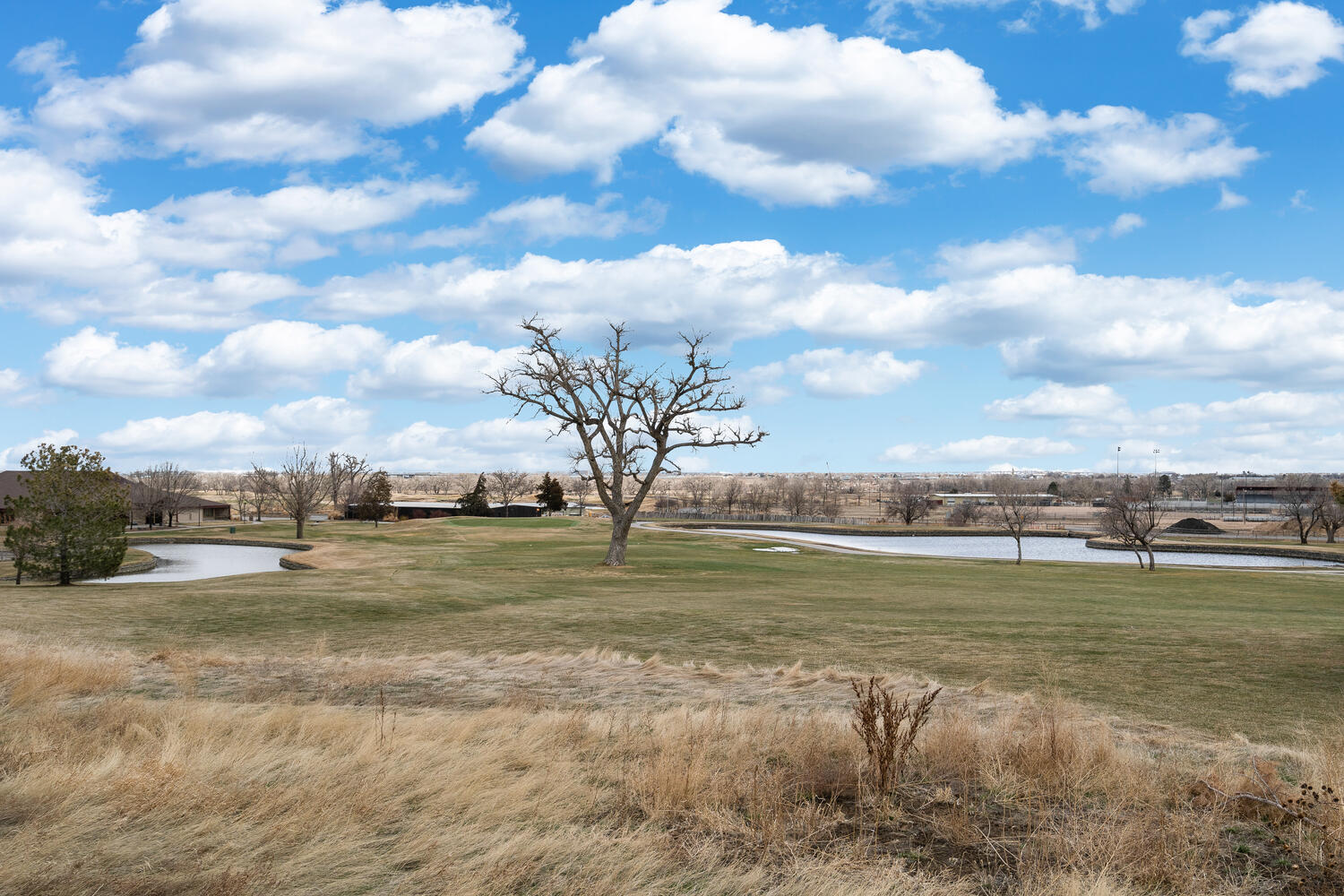 Green of Riverdale Golf Course with ponds and large shady trees