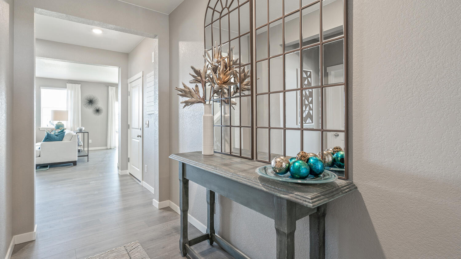 entry way in new home