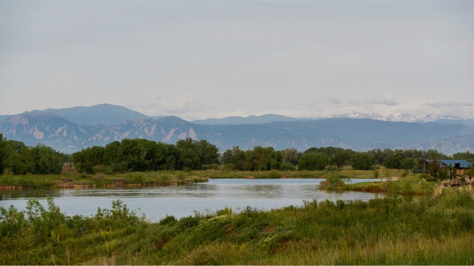 Lakeside Canyon by D.R. Horton in Mead, CO