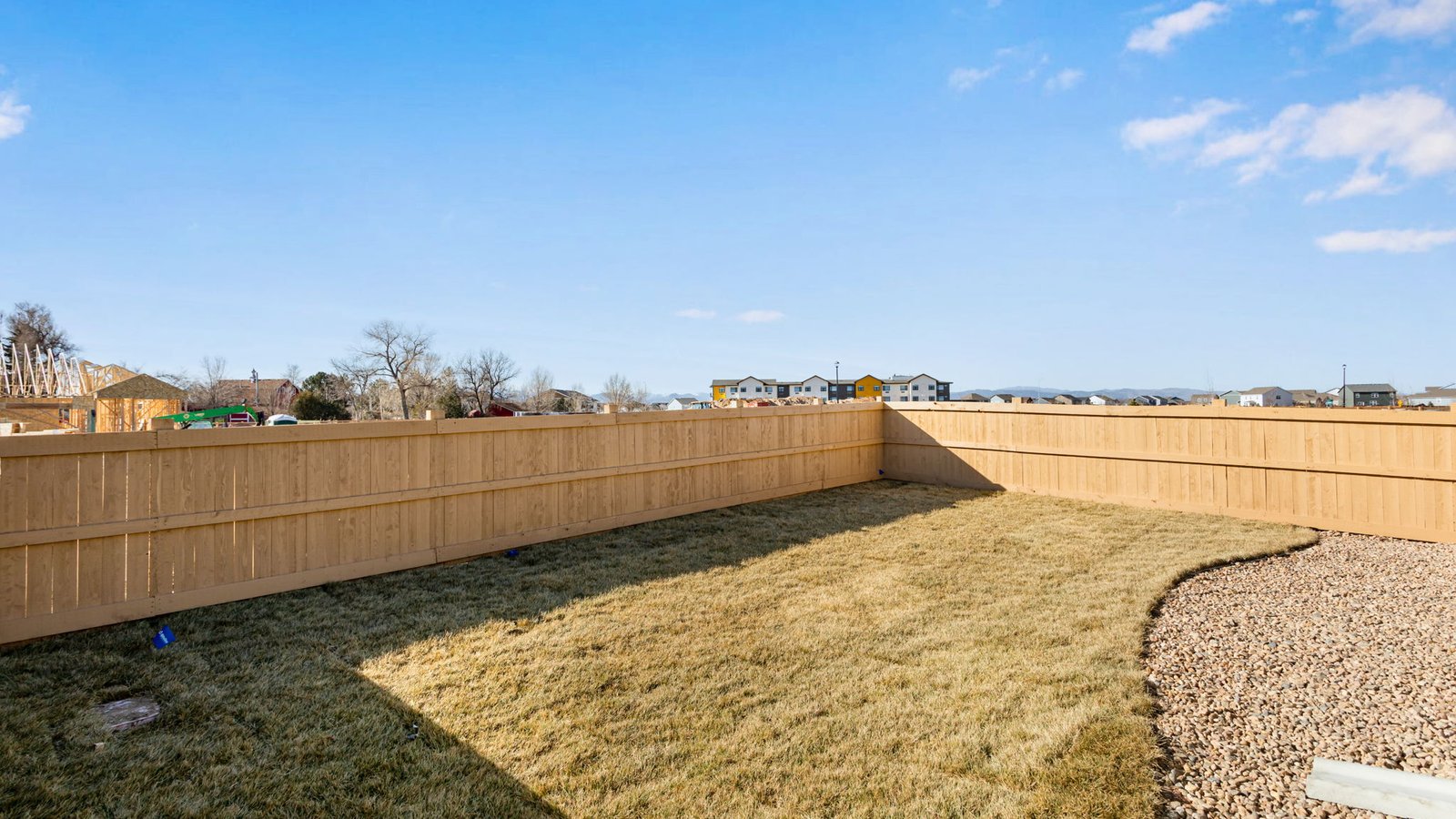 Backyard of a single-level paired home with open outdoor space perfect for relaxing and entertaining.