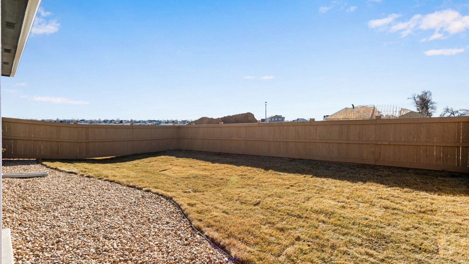 Fenced backyard of a new construction home in Trevenna with landscaped lawn and outdoor living space.