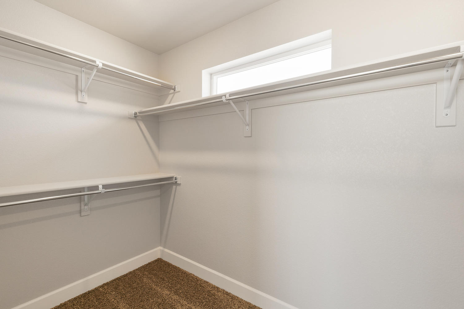 spacious walk in closet with carpet floor