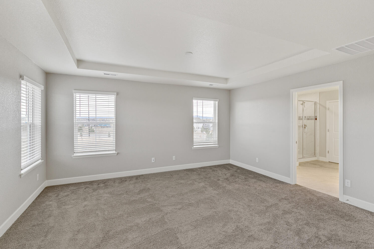 bedroom with three windows and carpet floor