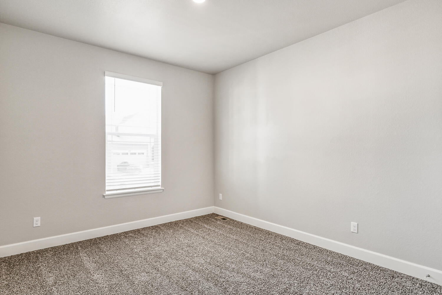 bedroom with a window and carpet