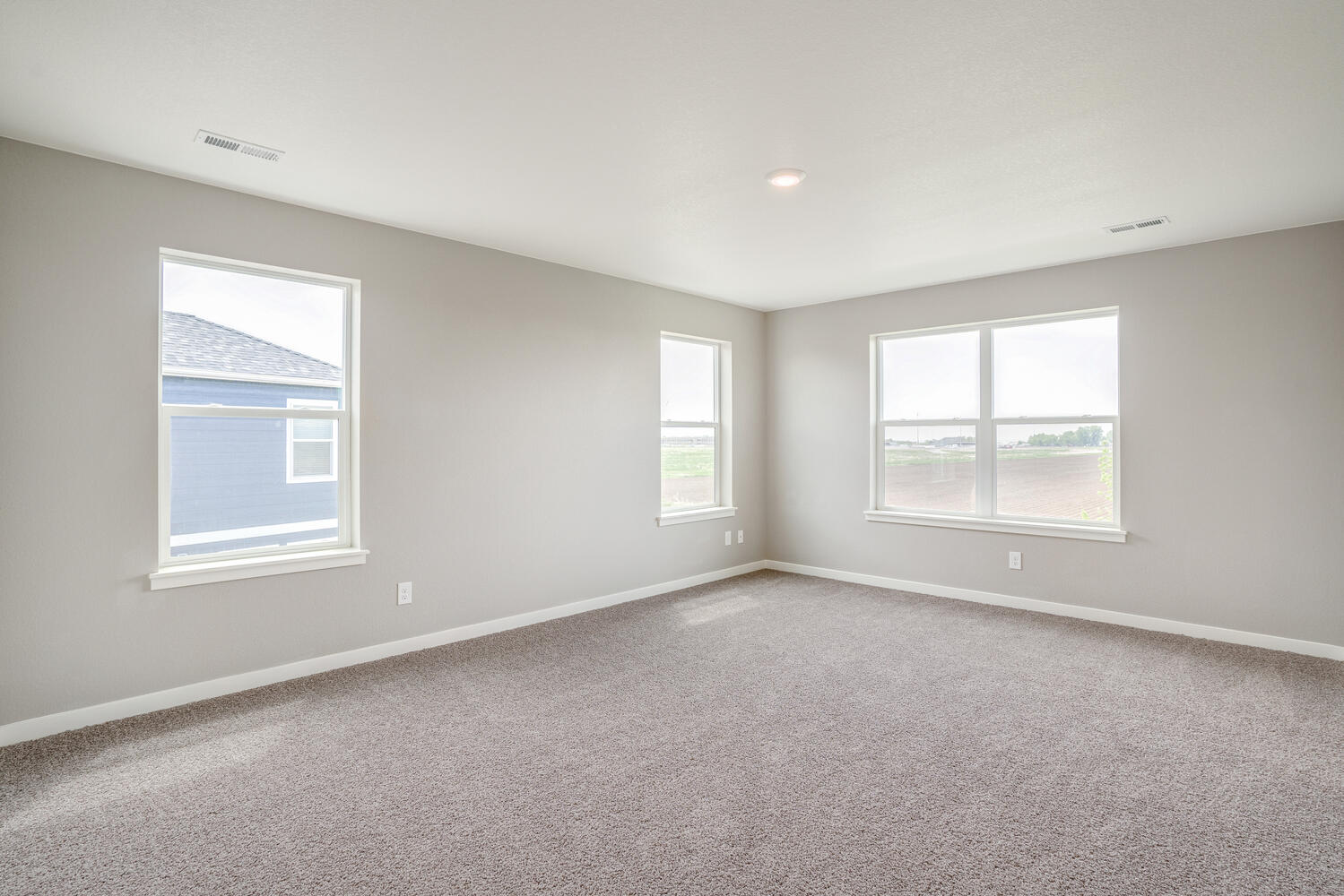 bedroom with carpet floor and three windows