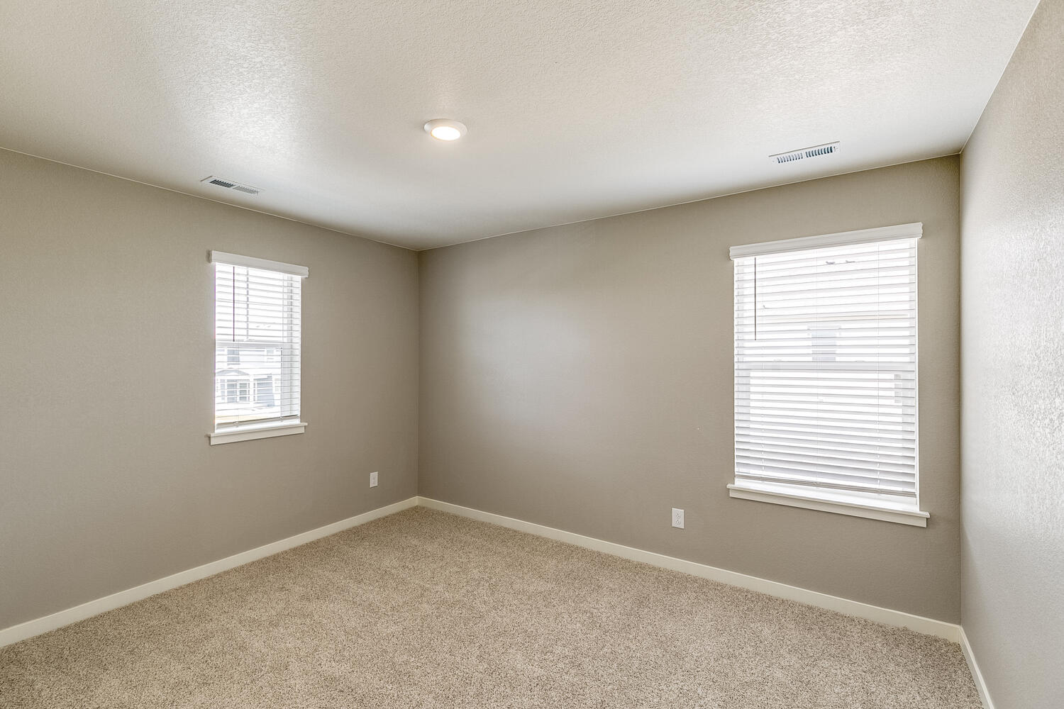bedroom with two windows and carpet floor