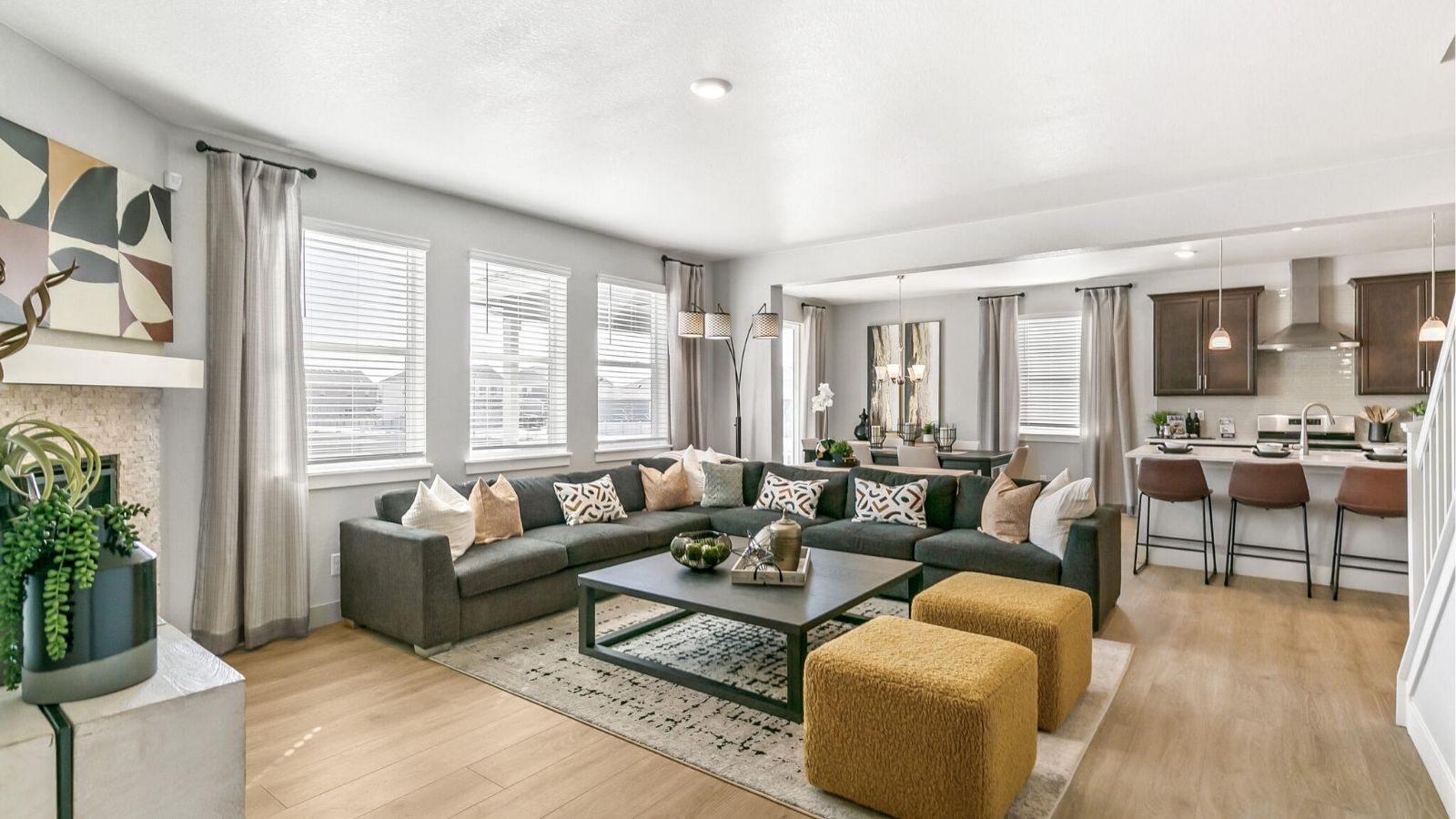 living room in new home