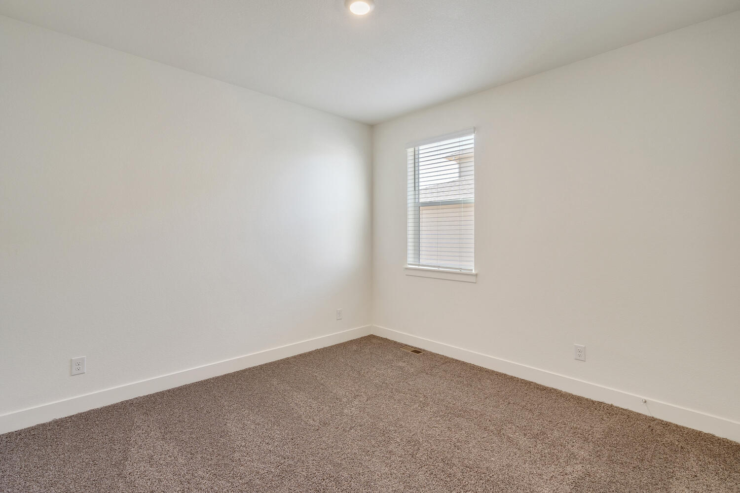 bedroom with a window and carpet