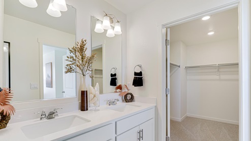 white cabinet bathroom with walk in closet