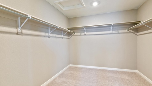 walk in closet with shelves and carpet