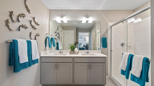 gray cabinet bathroom with a shower and two undermount sinks