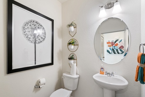 guest bathroom with decor