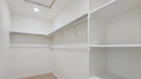 walk in closet with shelves and carpet