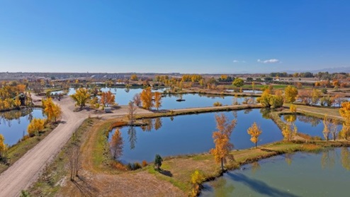 Trevenna patio homes opening October 2025 in Windsor, CO