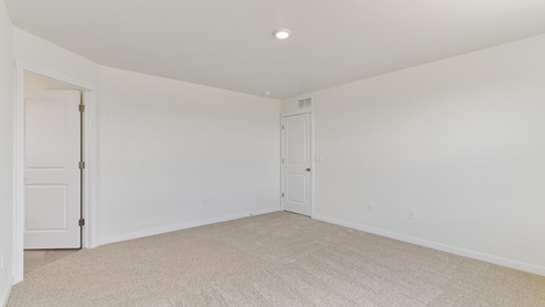 bedroom with carpet floor and closet