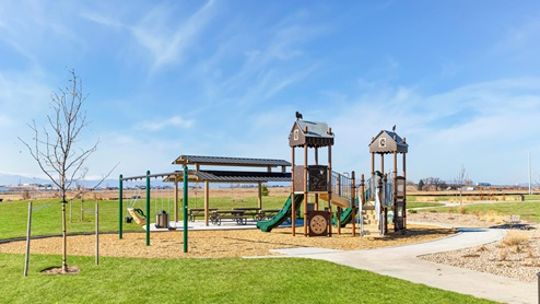 Revere at Johnstown New Home Paired Homes Community