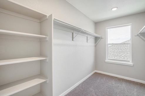walk in closet with a window and shelves