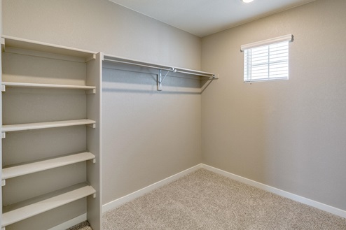 walk in closet with a window, shelves and carpet floor