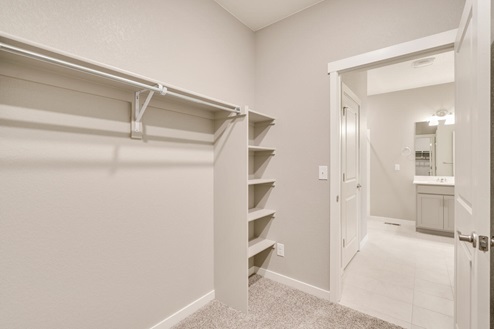 walk-in closet with shelves and entry to bathroom