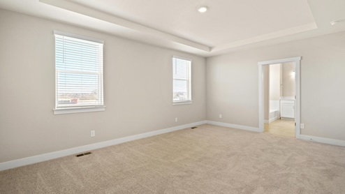bedroom with two windows and crown molding ceiling