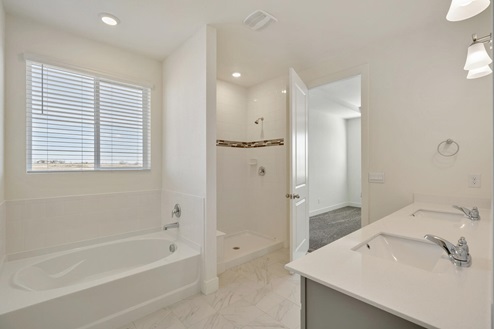 gray cabinet bathroom with a shower, tub and door to closet